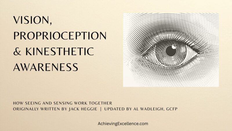 Vision, proprioception, and kinesthetic awareness cover image with an eye illustration and article title
