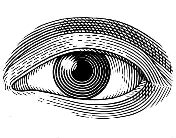 Some Thoughts on the Relationship Between: Vision, Proprioception and Kinesthetics - Movement Science - Movement Science Vision & Proprioception