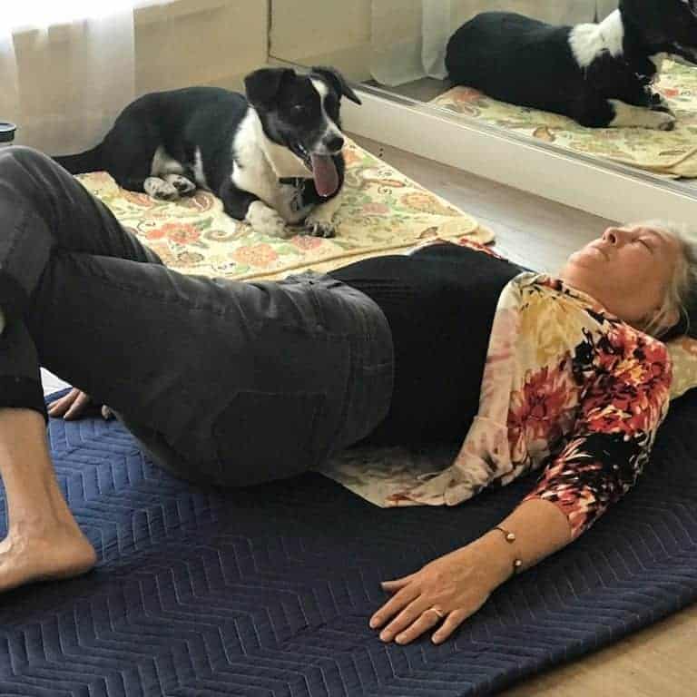 Companion animals love Feldenkrais lessons