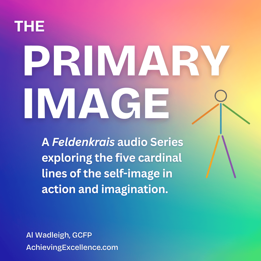 The Primary Image: Exploring the Five Cardinal Lines in Action - Cover artwork for The Primary Image, featuring a colorful gradient background, large white title text, and a simple five-line human figure.